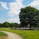 近藤沼公園の写真です。
