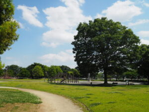 近藤沼公園の写真です。
