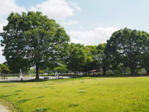 館林市：近藤沼公園多目的広場の写真です。