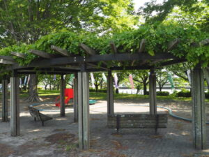 近藤沼公園の写真です。