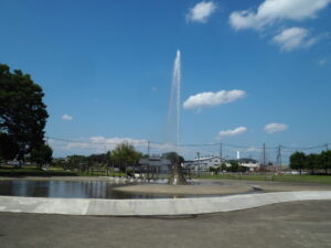 近藤沼公園の写真です。