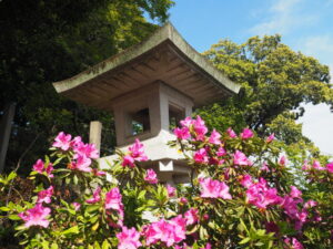 織姫神社：ツツジの花に囲まれた燈篭の写真です。