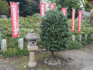 足利学校稲荷社：参道にある灯籠と本榊の写真です。