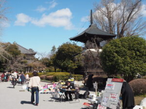 足利学校門前マルシェ：鑁阿寺境内の写真です。