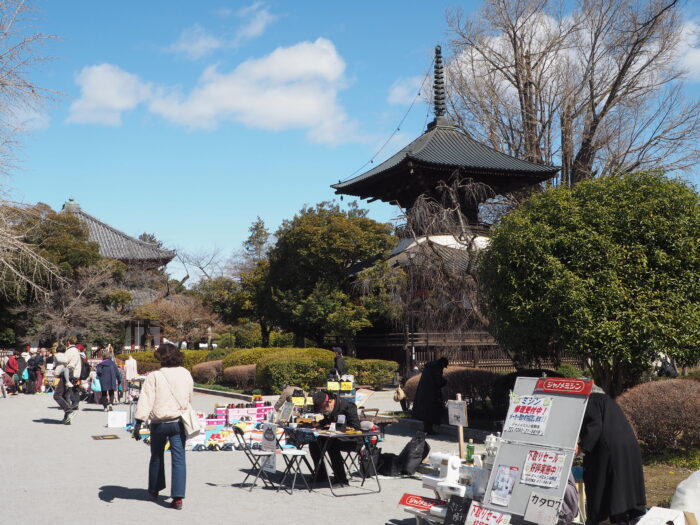足利学校門前マルシェ:鑁阿寺境内の写真です。
