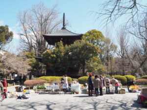 足利学校門前マルシェ：鑁阿寺境内の写真です。