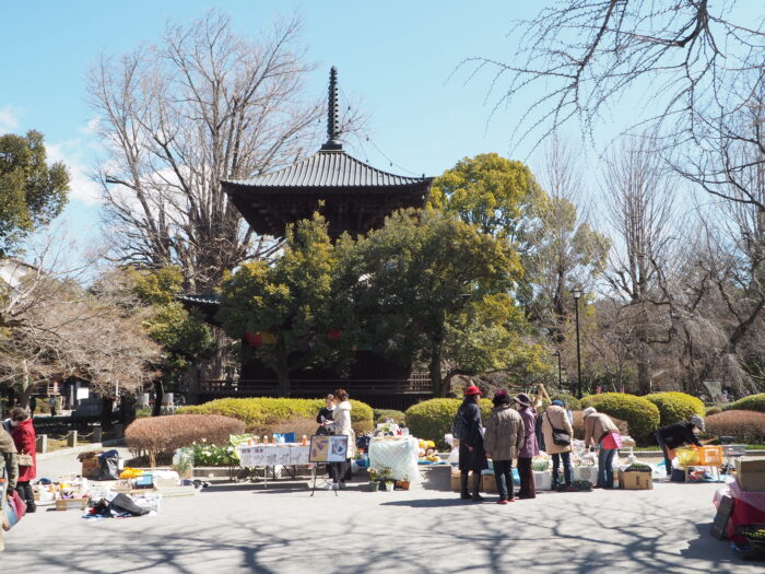 足利学校門前マルシェ:鑁阿寺境内の写真です。
