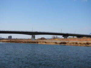 渡良瀬川から見る緑橋の写真です。
