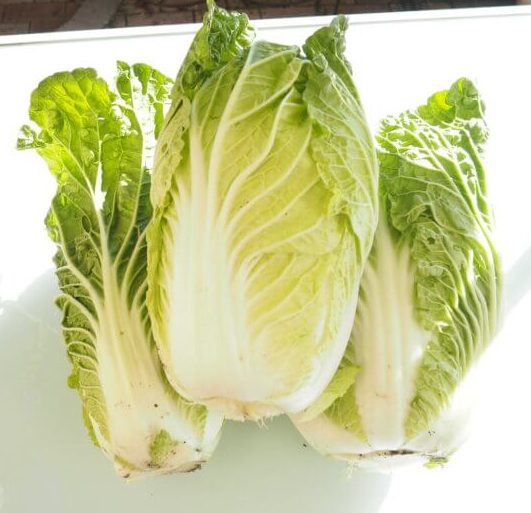 収穫したミニハクサイの写真です。