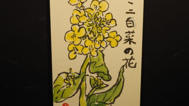 絵手紙：ミニハクサイの花の写真です。