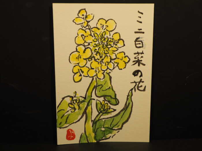 絵手紙：ミニハクサイの花の写真です。