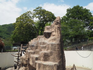 桐生が岡動物園のサル山の写真です。