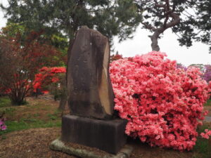 つつじが岡公園：松尾芭蕉の句碑の写真です。