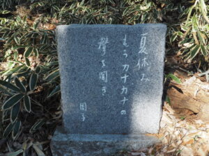 雷電神社：参道に立ち並ぶ句碑の写真です。