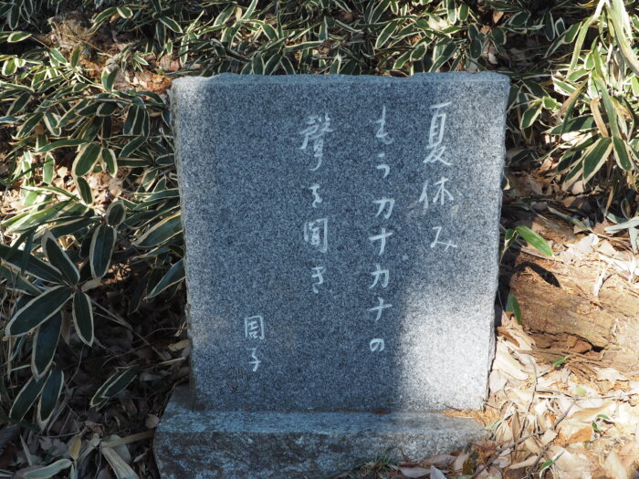 雷電神社:参道に立ち並ぶ句碑の写真です。