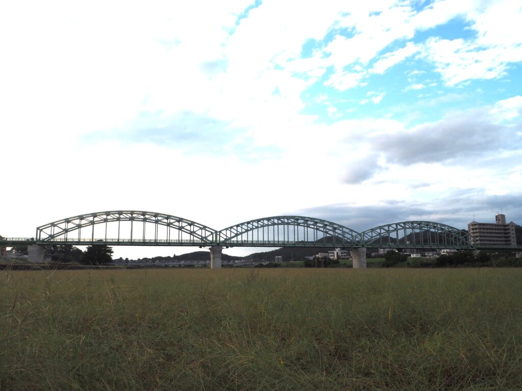 足利中橋架け替え工事中の中橋下流側からの写真です。