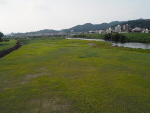 足利中橋・上流河川敷の写真です。