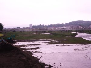 中橋から臨む渡良瀬橋の写真です。