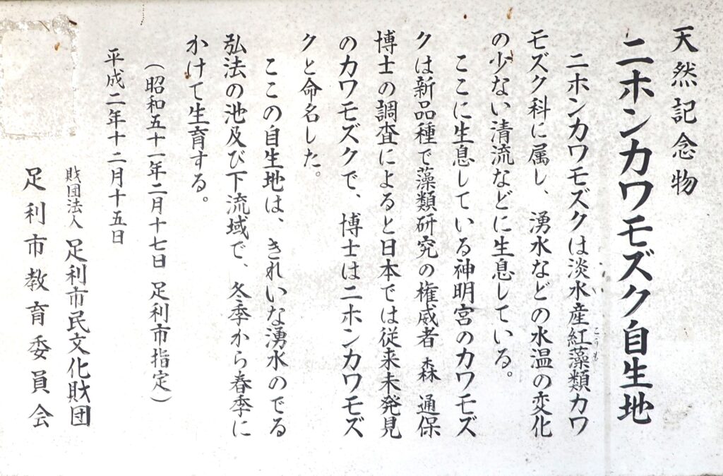 南大町芋森神明宮天然記念物：ニホンカワモズクの説明書きの写真です。
