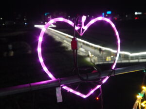 足利中橋自転車・歩行者仮設通路の夜景の写真です。