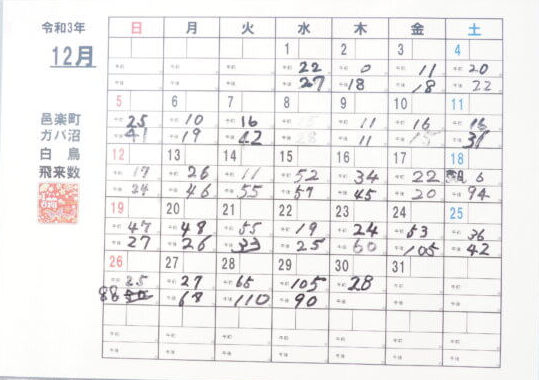 白鳥の飛来数表の写真です。