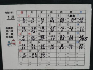ガバ沼:ハクチョウ飛来数表1月の写真です。