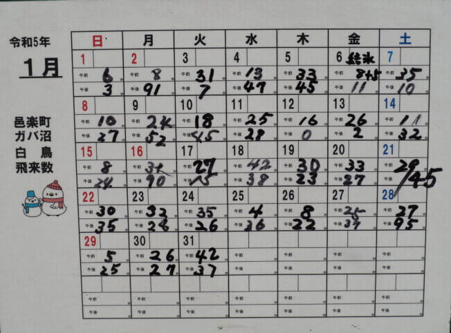 ガバ沼：ハクチョウ飛来数表1月の写真です。