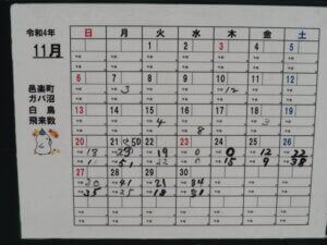 ガバ沼:ハクチョウ飛来数表11月の写真です