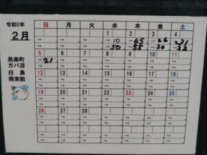 ガバ沼:ハクチョウ飛来数表2月の写真です。