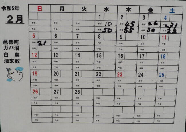 ガバ沼：ハクチョウ飛来数表2月の写真です。