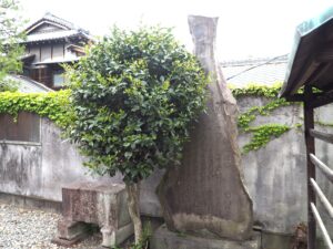 足利の文学碑・八雲神社：奥河内清香の歌碑の写真です。