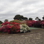 つつじが岡公園：旧公園の風景写真です。