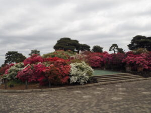 つつじが岡公園：旧公園の風景写真です。