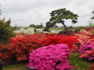 つつじが岡公園：旧公園の風景写真です。