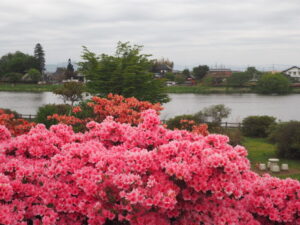 つつじが岡公園：旧公園の風景写真です。