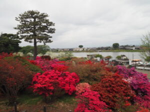 つつじが岡公園：旧公園の風景写真です。