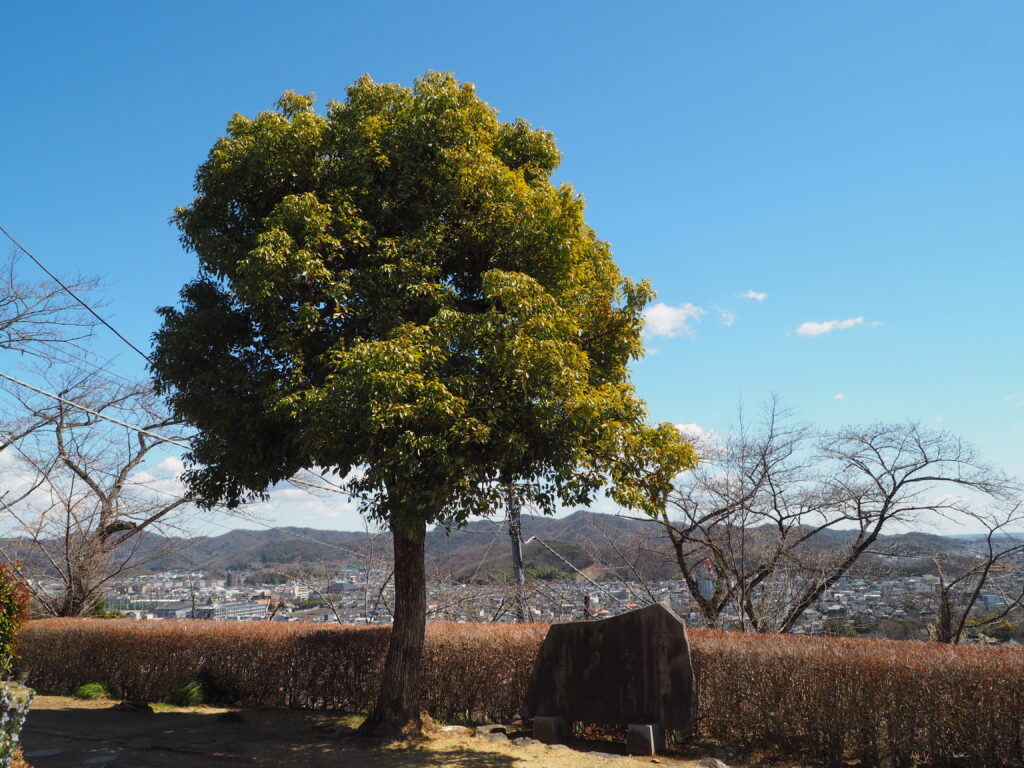 織姫公園:ホワイトパレスから見た句碑の写真です。