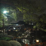 足利織姫神社の夜桜の写真です。