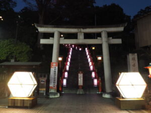 足利織姫神社：正面鳥居と参道の写真です。