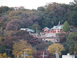 渡良瀬橋から見た織姫神社の写真です。