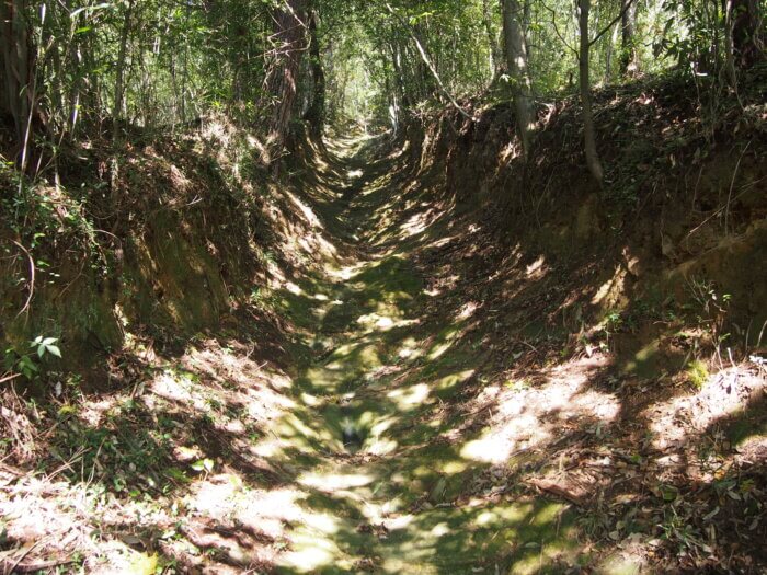 男坂の山道の写真です。