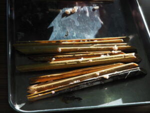 御厨神社・御筒粥：釜から出された葦束の写真です。