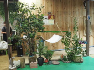 ふくろうカフェ:Fukuの店内の写真です。