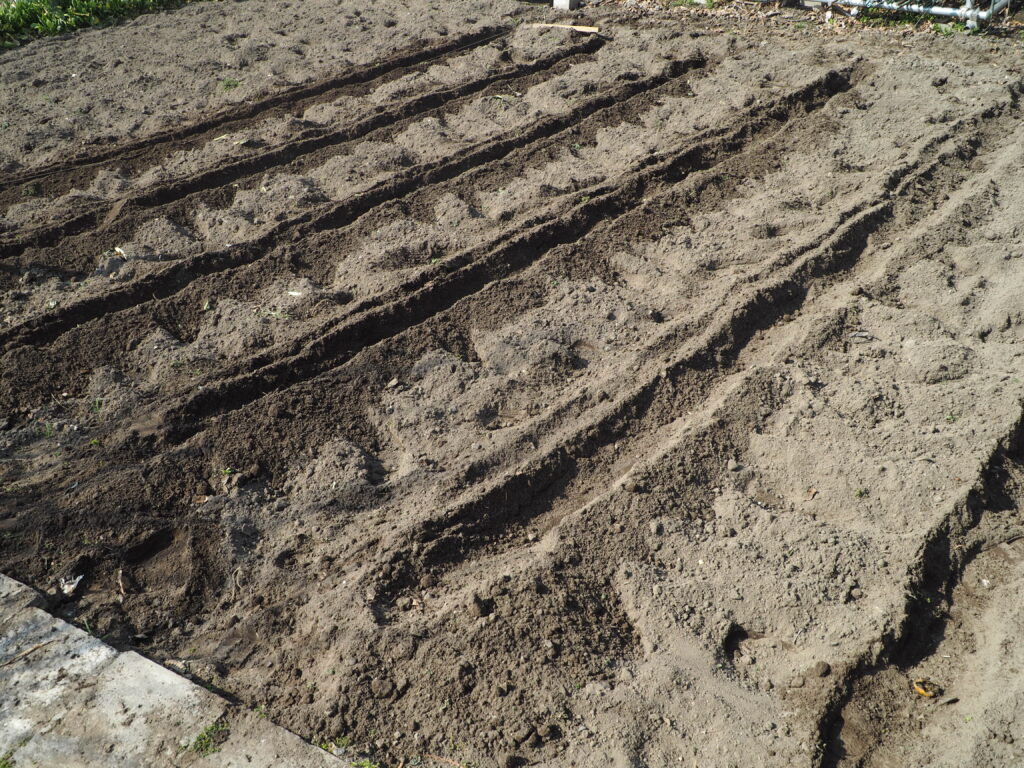 ジャガイモの植え溝の写真です。