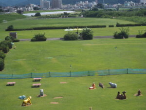 緑橋から見た本町緑地公園の写真です。