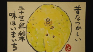 絵手紙：二十世紀ナシの写真です。