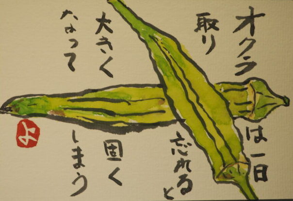 絵手紙:オクラの写真です。