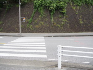 渡良瀬橋南交差点の横断歩道の写真です。
