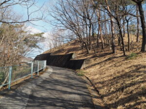 桐生が岡公園：歩行者用通路の写真です。