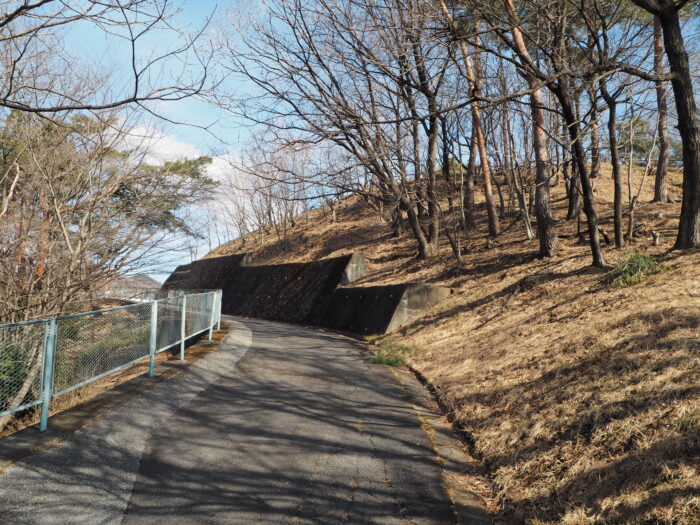 桐生が岡公園：歩行者用通路の写真です。